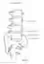 Fig. 35 - Systems, device, and methods for joint fusion