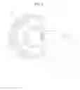Fig. 03 - IMPLANTABLE ENCAPSULATED PROSTHETIC JOINT MODULE