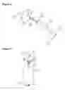 Fig. 08 - HYDRO-BLOCK AIR VENT COMBINATION CATHETER SYSTEM AND METHOD OF USE