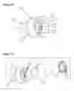 Fig. 09 - HYDRO-BLOCK AIR VENT COMBINATION CATHETER SYSTEM AND METHOD OF USE