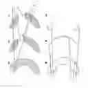 Fig. 01 - Flange extender comprising honey
