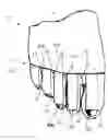 Fig. 01 - Sock And Method For Creating A Substantial Squeezing Pressure On One Or More Individual Toes Of A Wearer