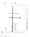 Fig. 45 - Method of and apparatus for formulating multicomponent drug