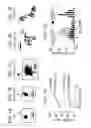 Fig. 02 - COMPOSITIONS AND METHODS RELATING TO REDUCED MUCOADHESION