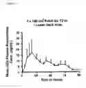 Fig. 07 - Transdermal Delivery Systems