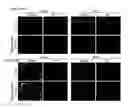 Fig. 06 - COMPOSITIONS AND METHODS FOR PROTECTING COLONIC EPITHELIAL BARRIER FUNCTION