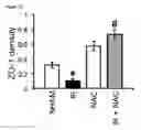 Fig. 10 - COMPOSITIONS AND METHODS FOR PROTECTING COLONIC EPITHELIAL BARRIER FUNCTION