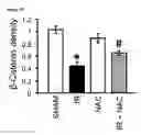 Fig. 12 - COMPOSITIONS AND METHODS FOR PROTECTING COLONIC EPITHELIAL BARRIER FUNCTION