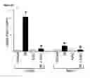 Fig. 14 - COMPOSITIONS AND METHODS FOR PROTECTING COLONIC EPITHELIAL BARRIER FUNCTION