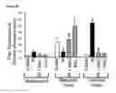 Fig. 19 - COMPOSITIONS AND METHODS FOR PROTECTING COLONIC EPITHELIAL BARRIER FUNCTION