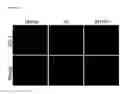 Fig. 31 - COMPOSITIONS AND METHODS FOR PROTECTING COLONIC EPITHELIAL BARRIER FUNCTION
