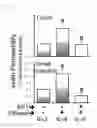 Fig. 40 - COMPOSITIONS AND METHODS FOR PROTECTING COLONIC EPITHELIAL BARRIER FUNCTION