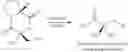 Fig. 63 - Method of treating HER2-positive breast cancers with selective androgen receptor modulators (SARMS)