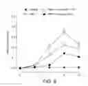 Fig. 07 - Pharmaceutical composition for topical administration