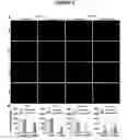 Fig. 05 - Compositions for treating retinal degeneration and methods of production and use thereof