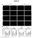 Fig. 09 - Compositions for treating retinal degeneration and methods of production and use thereof