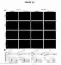 Fig. 13 - Compositions for treating retinal degeneration and methods of production and use thereof