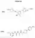 Fig. 26 - Compositions for treating retinal degeneration and methods of production and use thereof