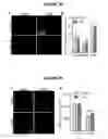 Fig. 29 - Compositions for treating retinal degeneration and methods of production and use thereof