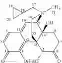 Fig. 28 - Peripheral opioid receptor antagonists and uses thereof