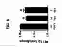 Fig. 07 - METHODS AND COMPOSITIONS FOR STIMULATION AND ENHANCEMENT OF REGENERATION OF TISSUES