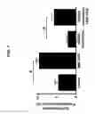 Fig. 08 - METHODS AND COMPOSITIONS FOR STIMULATION AND ENHANCEMENT OF REGENERATION OF TISSUES