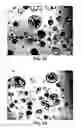 Fig. 02 - Dosage form comprising an active ingredient and a plurality of solid porous microcarriers