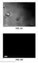 Fig. 07 - Dosage form comprising an active ingredient and a plurality of solid porous microcarriers