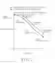 Fig. 03 - Method for alleviating radiation injury with isorhamnetin-3-O-β-D-glucoside