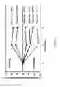 Fig. 02 - METHODS OF MANIPULATING ALGINATE MICROCAPSULE SIZE AND PERMEABILITY