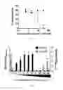 Fig. 06 - Botanical extracts and compounds from schinus plants and methods of use