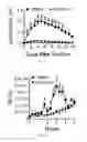 Fig. 07 - Botanical extracts and compounds from schinus plants and methods of use