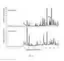 Fig. 08 - Botanical extracts and compounds from schinus plants and methods of use