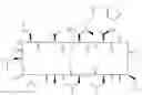 Fig. 71 - Cyclic depsipeptide compounds and their uses