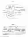 Fig. 02 - Compositions and methods for treating neutropenia