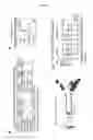 Fig. 05 - Compositions and methods for treating neutropenia