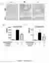 Fig. 04 - Tolerogenic compositions comprising and uses thereof