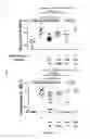 Fig. 07 - Tolerogenic compositions comprising and uses thereof