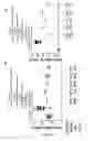 Fig. 09 - Tolerogenic compositions comprising and uses thereof