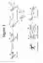 Fig. 02 - Methods and compositions for nanoemulsion vaccine formulations