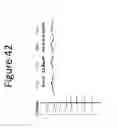 Fig. 45 - Methods and compositions for nanoemulsion vaccine formulations