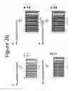 Fig. 28 - METHODS AND COMPOSITIONS FOR THE STABILIZATION OF ANTHRAX RECOMBINANT PROTECTIVE ANTIGEN
