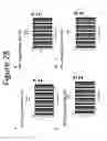 Fig. 30 - METHODS AND COMPOSITIONS FOR THE STABILIZATION OF ANTHRAX RECOMBINANT PROTECTIVE ANTIGEN