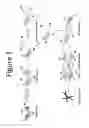 Fig. 02 - METHODS AND COMPOSITIONS FOR THE STABILIZATION OF PROTEINS