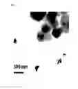 Fig. 04 - SONOSENSITIZER COMPOSITION CONTAINING TITANIUM OXIDE NANOPARTICLE AS ACTIVE INGREDIENT, COMPOSITION FOR PREVENTING OR TREATING CANCER COMPRISING THE SAME, AND THE PREPARATION THEREOF