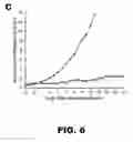 Fig. 08 - COMPOSITIONS AND METHODS FOR BORON NEUTRON CAPTURE THERAPY