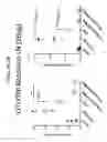 Fig. 09 - Glycotargeting therapeutics