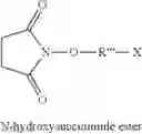 Fig. 43 - TARGETED DRUG PHOSPHORYLCHOLINE POLYMER CONJUGATES
