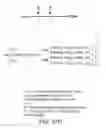 Fig. 136 - GLYCOPEGYLATION METHODS AND PROTEINS/PEPTIDES PRODUCED BY THE METHODS
