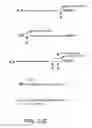 Fig. 239 - GLYCOPEGYLATION METHODS AND PROTEINS/PEPTIDES PRODUCED BY THE METHODS